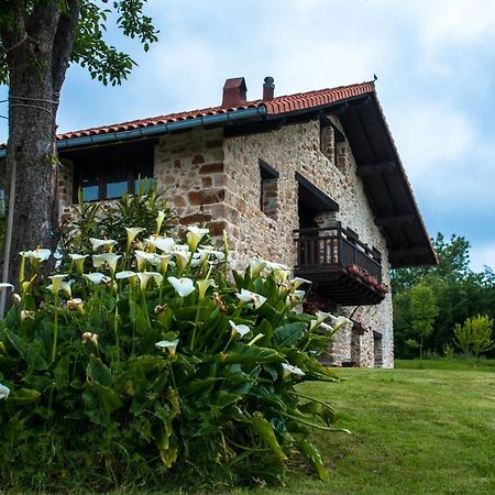 Apartamentos Rurales Larrago ブストゥリア エクステリア 写真