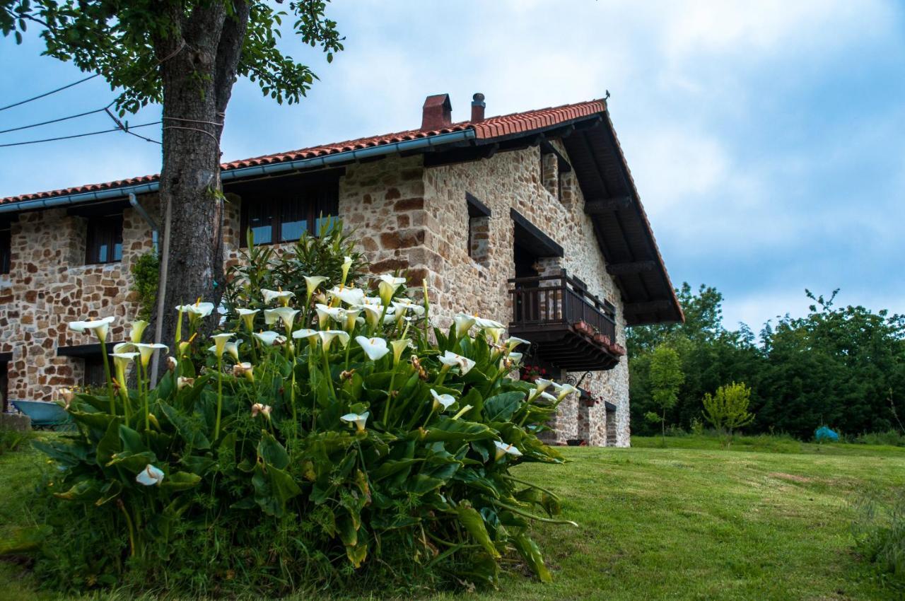 Apartamentos Rurales Larrago ブストゥリア エクステリア 写真
